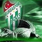 League Logo